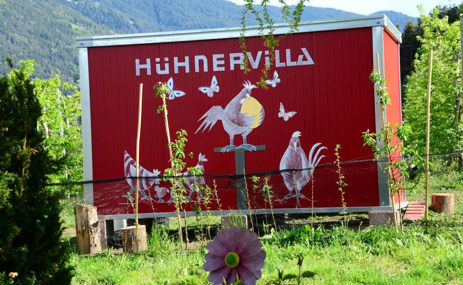 Hühnerfarm