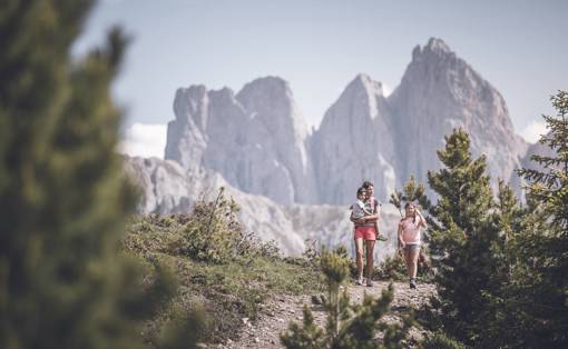 (C) Kottersteger Brixen Tourismus Plose Family (46)
